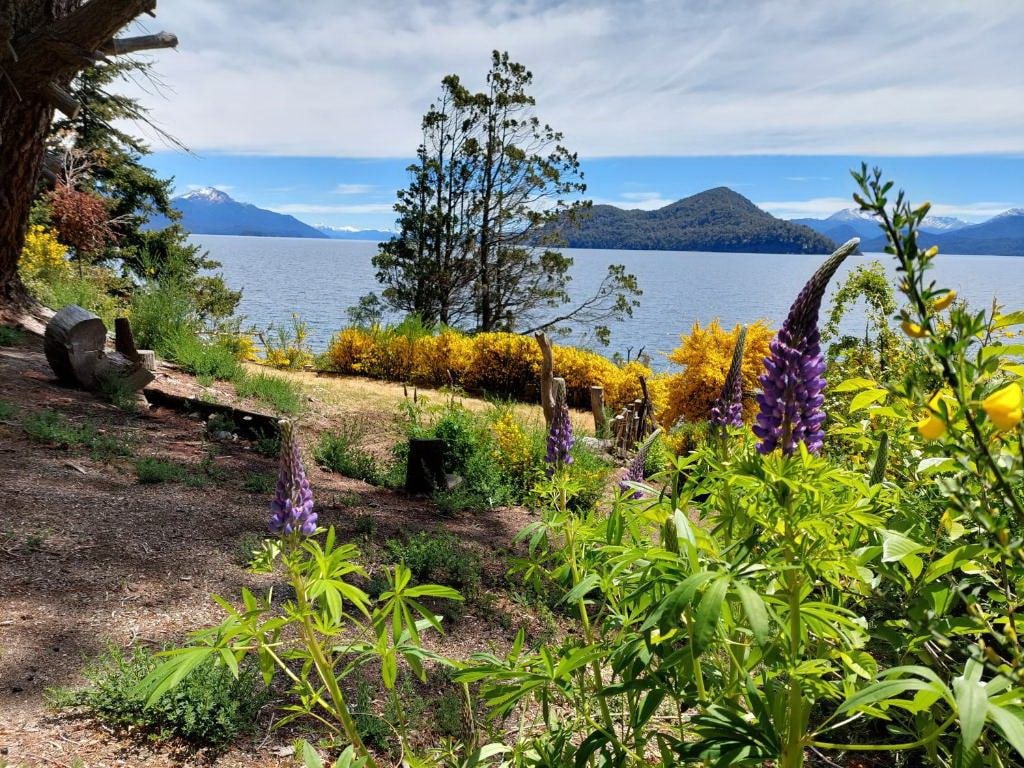 cabañas en bariloche frente al lago