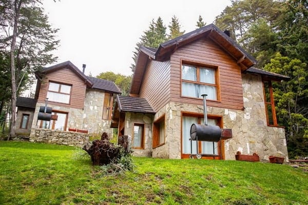 Cabañas en un bosque de pino