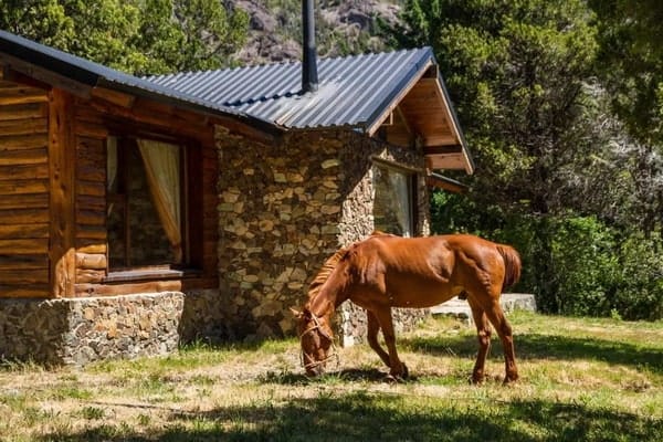 estancia del carmen bariloche