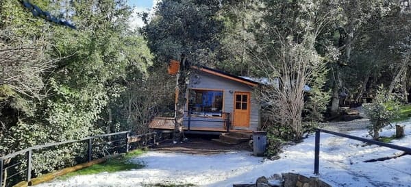 Cabañas en el bosque Bariloche