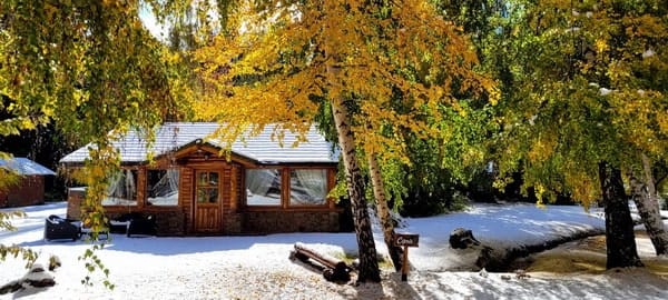 cabañas en el corazón del bosque bariloche